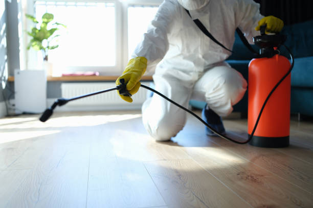 Reliable Sewage Cleanup contractor in La Quinta, CA by Dulley Family Biohazard Services